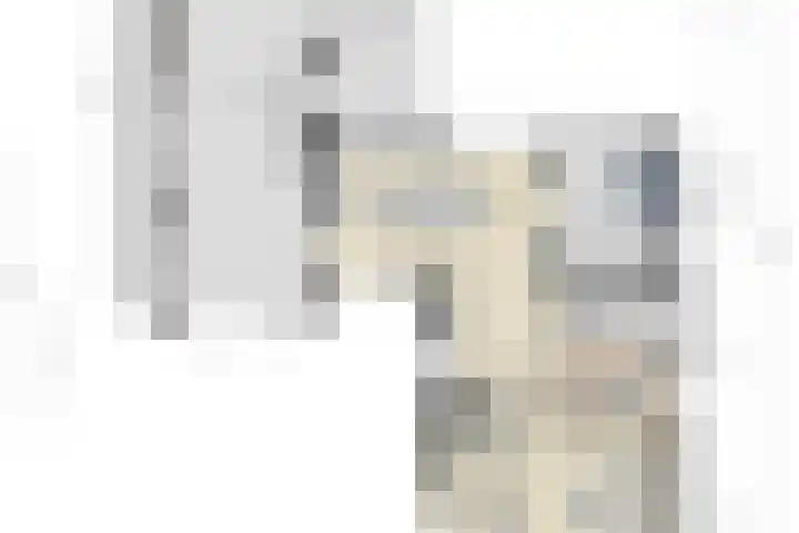 Oosteinde 101 Berkhout thumbnail 42