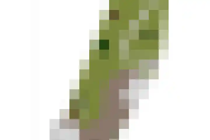 Oosteinde 101 Berkhout thumbnail 47