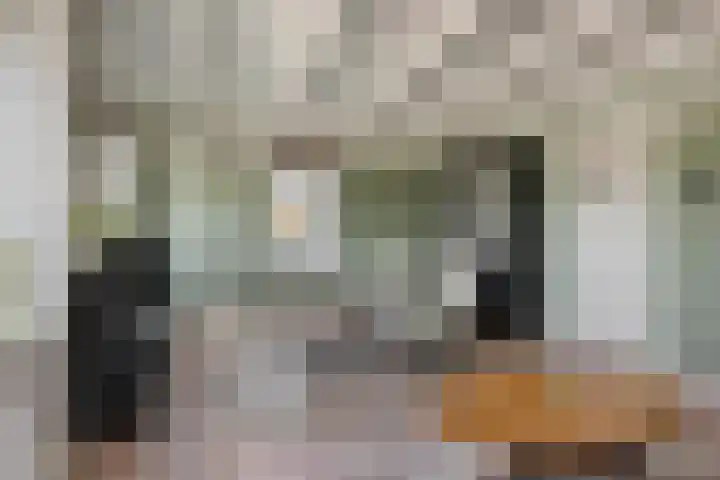 Oosteinde 101 Berkhout thumbnail 9