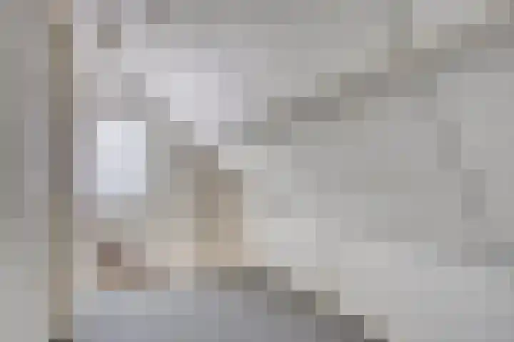 Oosteinde 102 a Scherpenzeel thumbnail 15