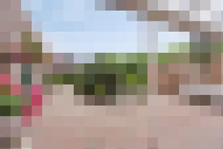 Oosteinde 102 a Scherpenzeel thumbnail 20
