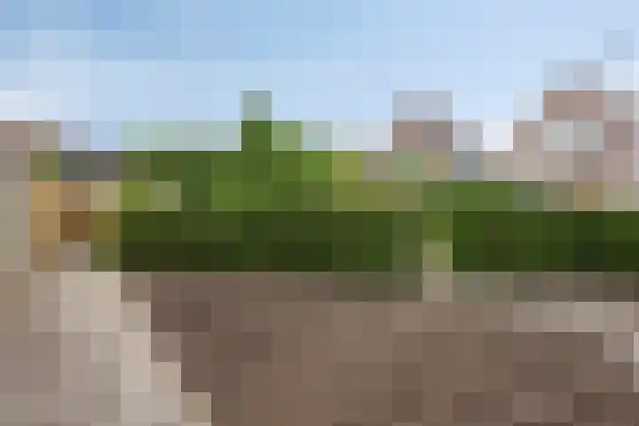 Oosteinde 102 a Scherpenzeel thumbnail 26
