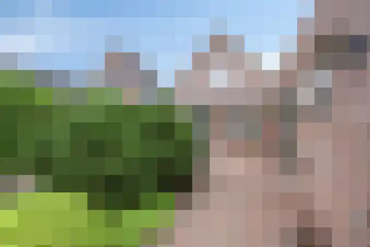 Oosteinde 102 a Scherpenzeel thumbnail 27