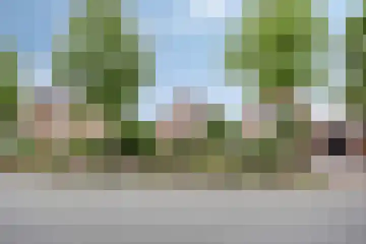 Oosteinde 102 a Scherpenzeel thumbnail 30