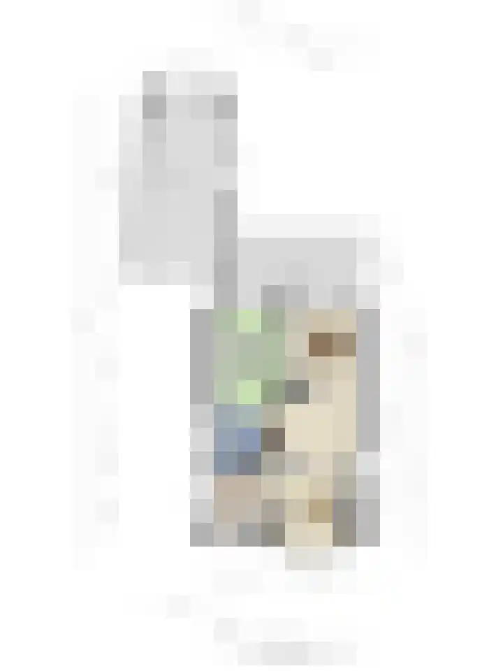 Oosteinde 102 a Scherpenzeel thumbnail 32
