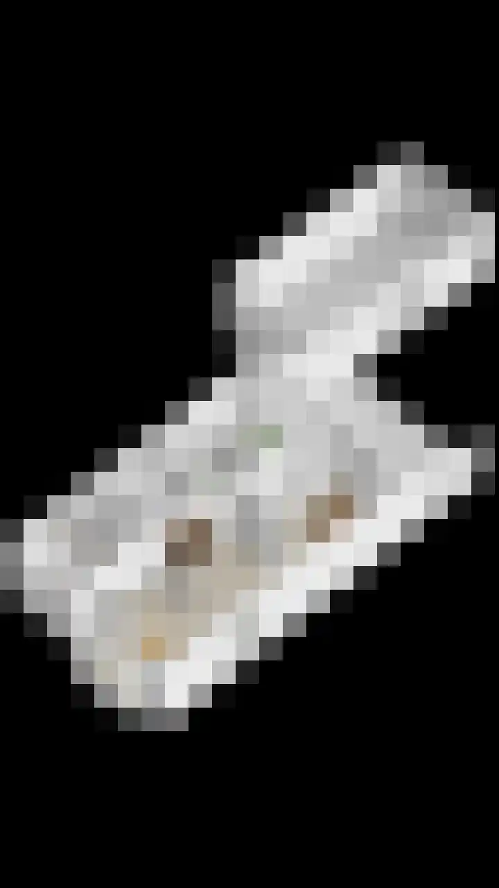 Oosteinde 102 a Scherpenzeel thumbnail 36