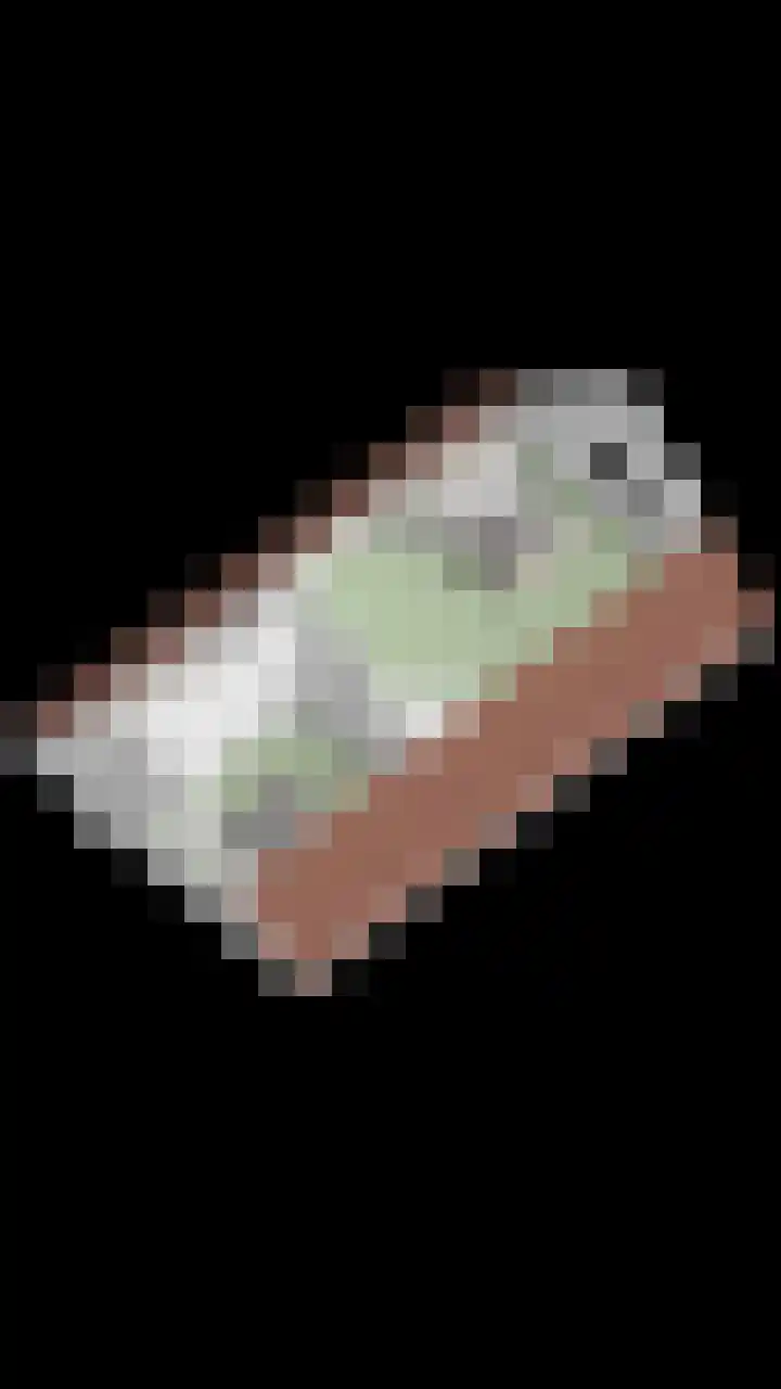 Oosteinde 102 a Scherpenzeel thumbnail 37