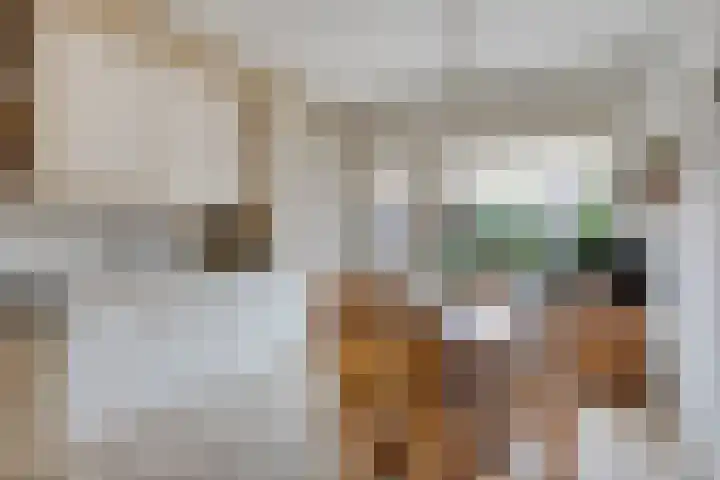 Oosteinde 102 a Scherpenzeel thumbnail 6