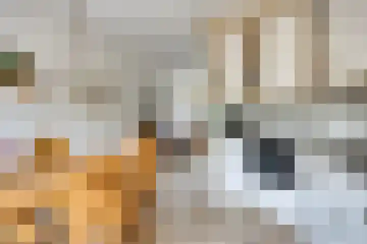 Oosteinde 102 a Scherpenzeel thumbnail 7