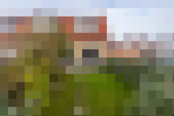 Oosteinde 106 Den Haag thumbnail 35