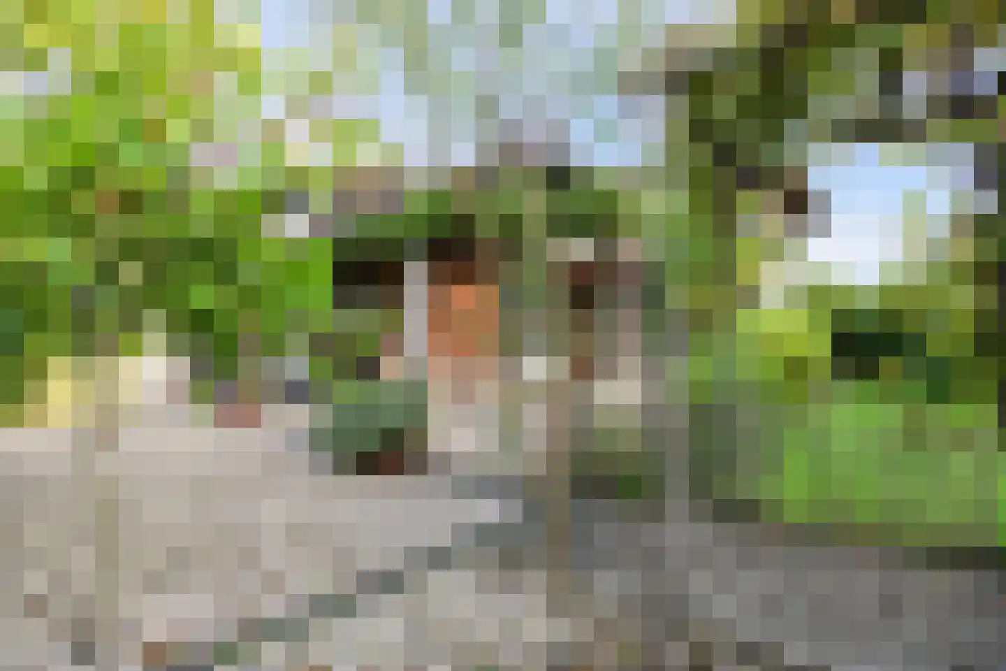 Oosteinde 11 h 108 Moordrecht thumbnail 28