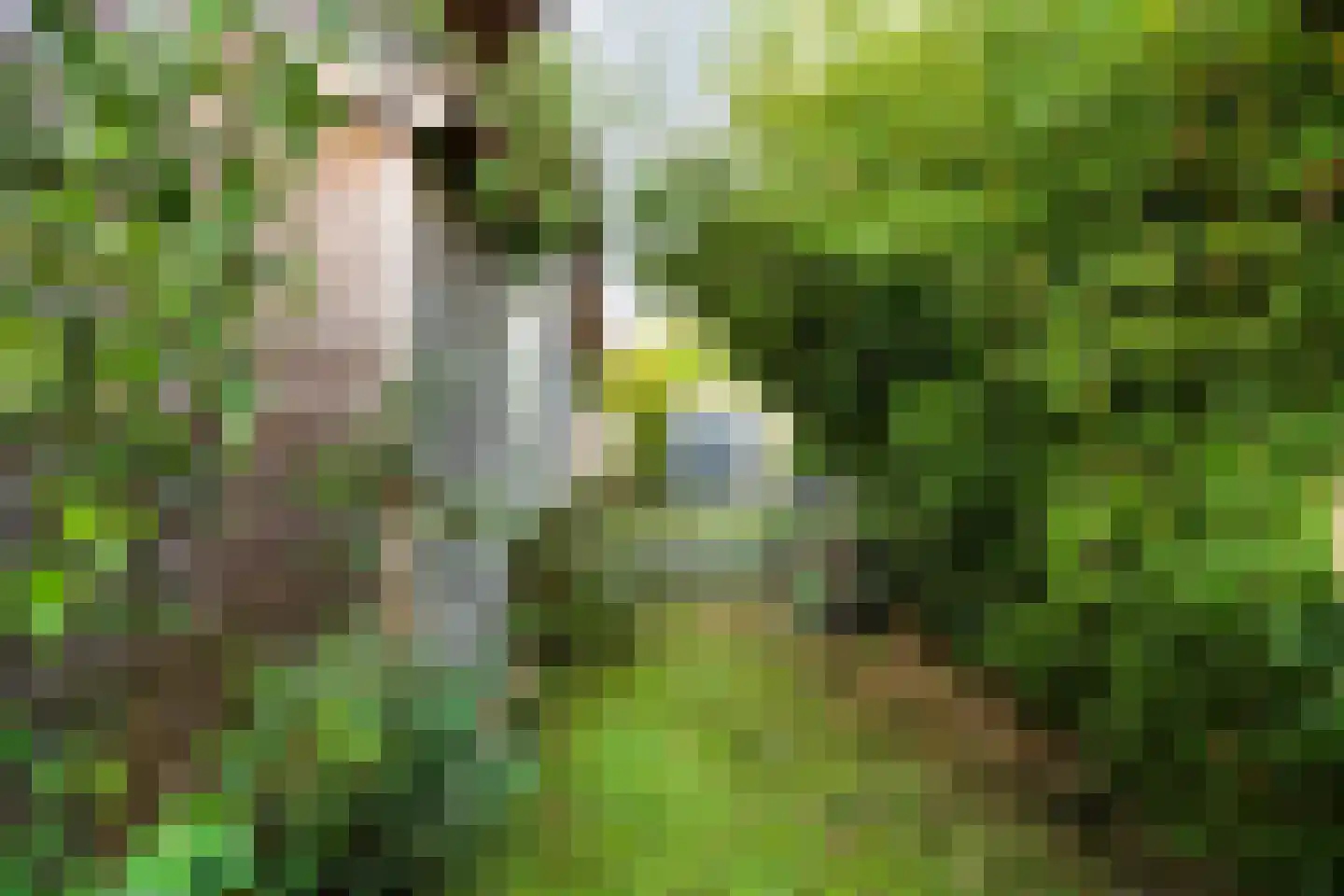 Oosteinde 11 h 108 Moordrecht thumbnail 33