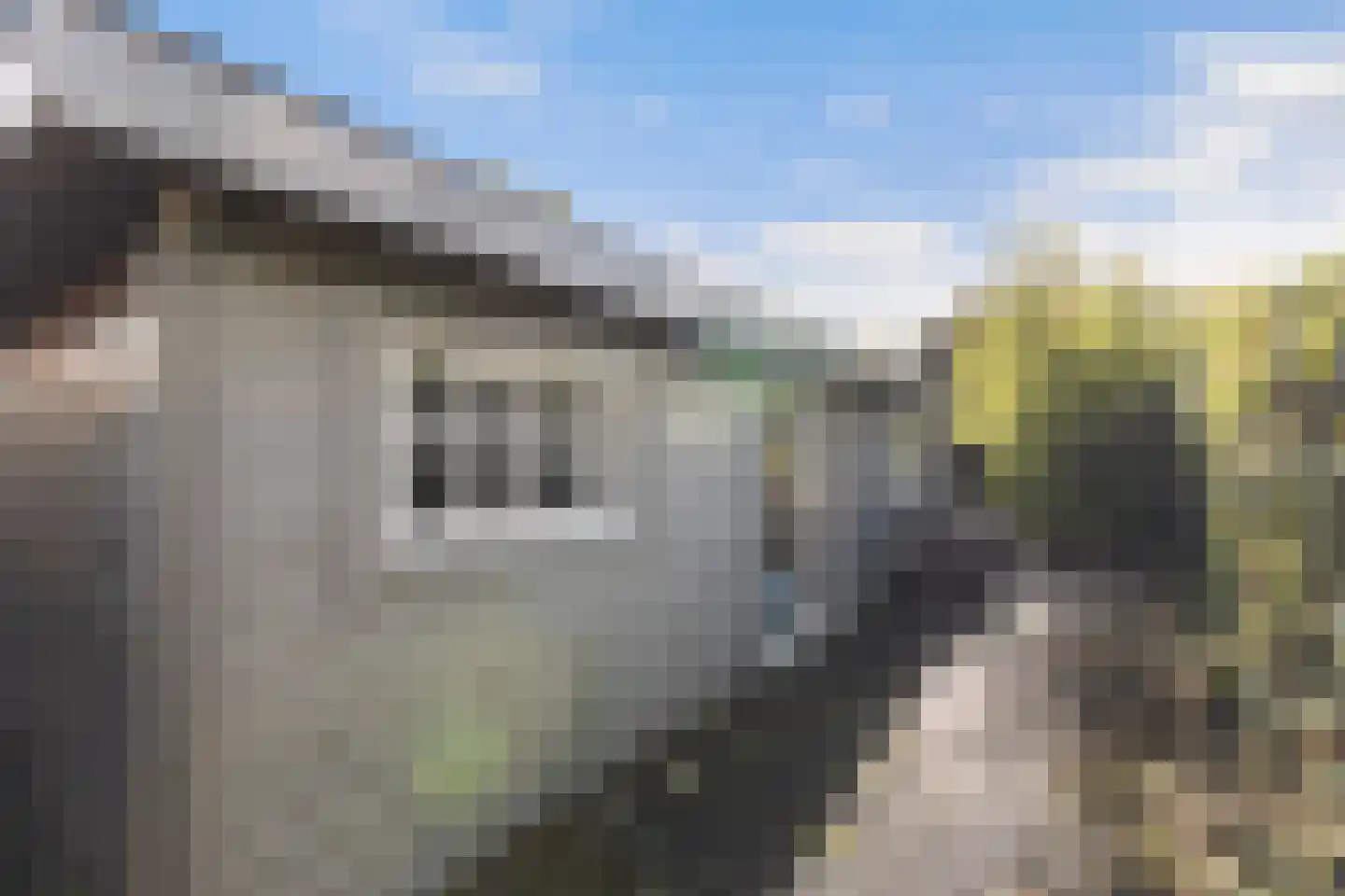 Oosteinde 11 h 113 Moordrecht thumbnail 30