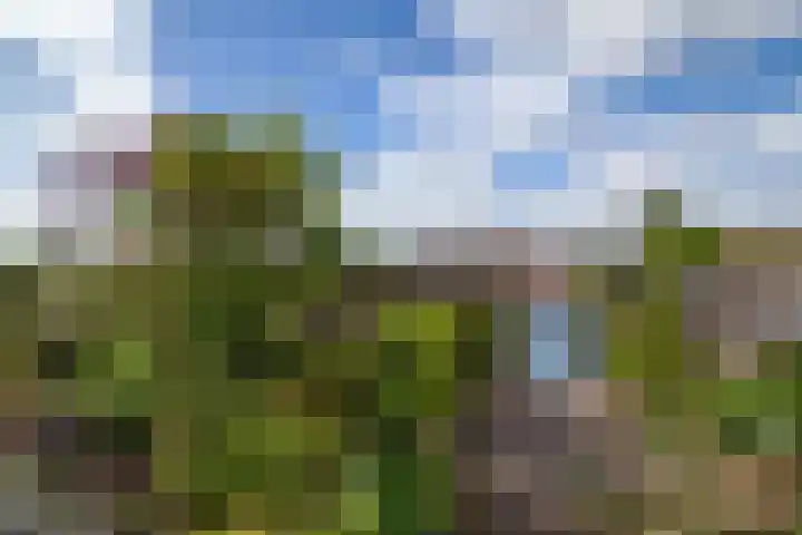 Oosteinde 11 h 136 Moordrecht thumbnail 30