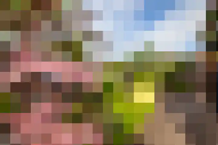 Oosteinde 11 h 136 Moordrecht thumbnail 38