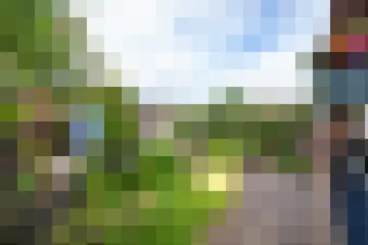 Oosteinde 11 h 136 Moordrecht thumbnail 39