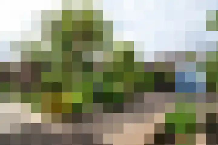 Oosteinde 11 h 136 Moordrecht thumbnail 41