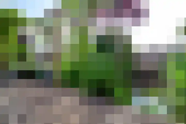Oosteinde 11 h 136 Moordrecht thumbnail 47