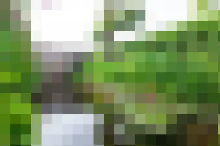 Oosteinde 11 h 136 Moordrecht thumbnail 48