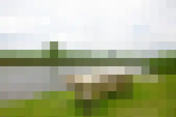 Oosteinde 11 h 136 Moordrecht thumbnail 55