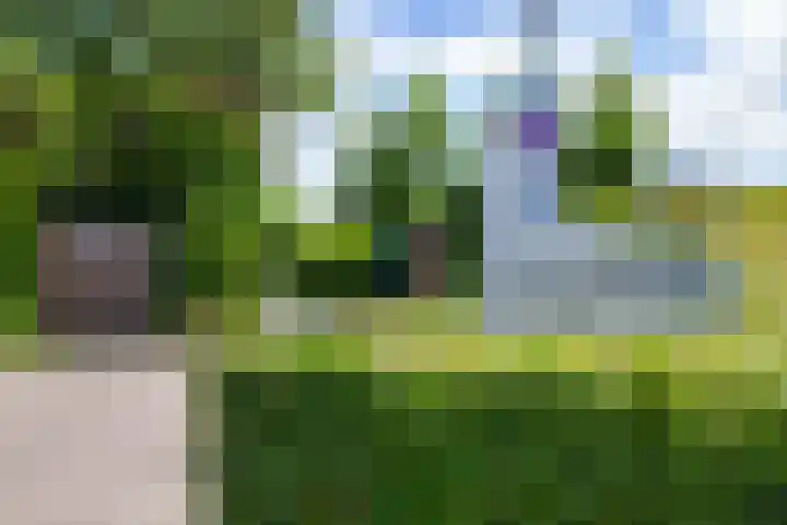 Oosteinde 11 h 136 Moordrecht thumbnail 60