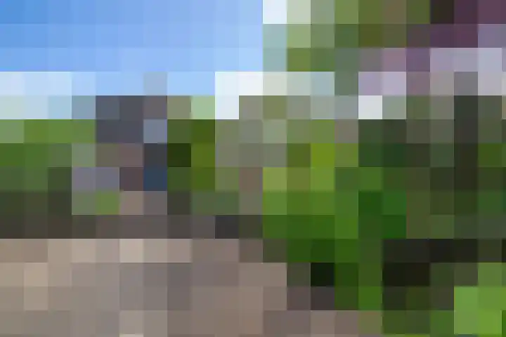 Oosteinde 11 h 136 Moordrecht thumbnail 70