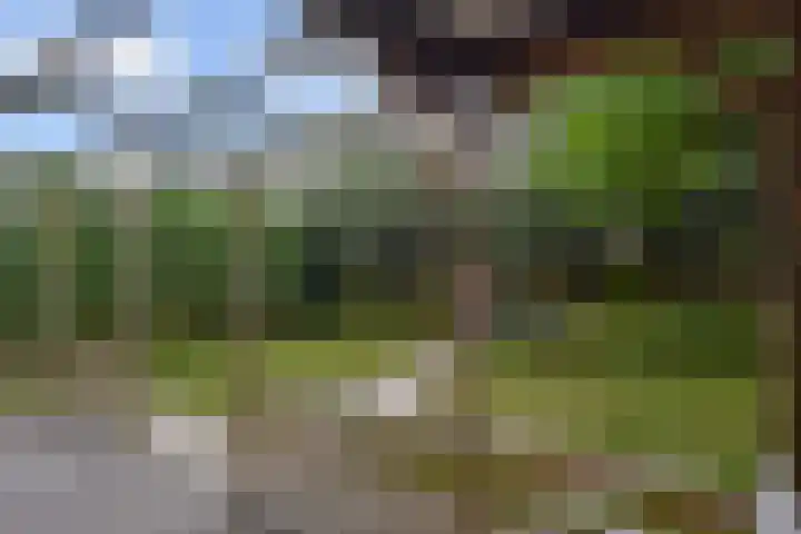 Oosteinde 11 h 145 Moordrecht thumbnail 22