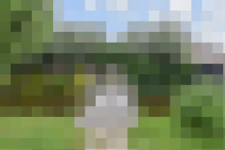 Oosteinde 11 h 145 Moordrecht thumbnail 5