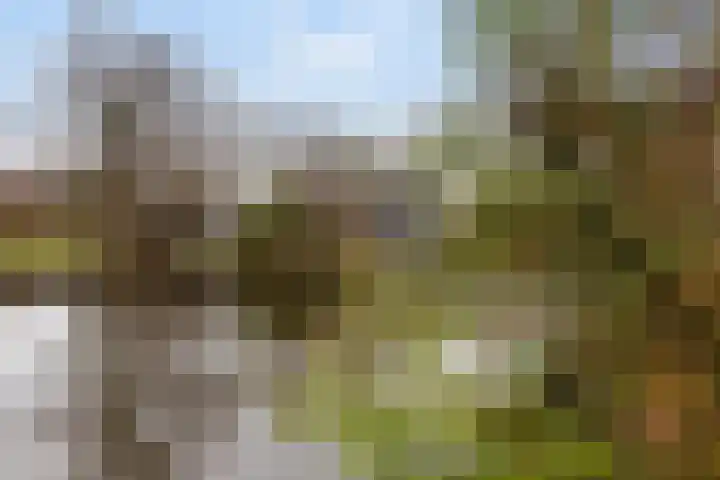 Oosteinde 11 h 67 Moordrecht thumbnail 47