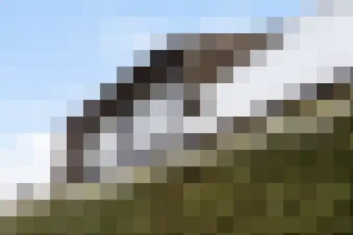 Oosteinde 11 h 67 Moordrecht thumbnail 49