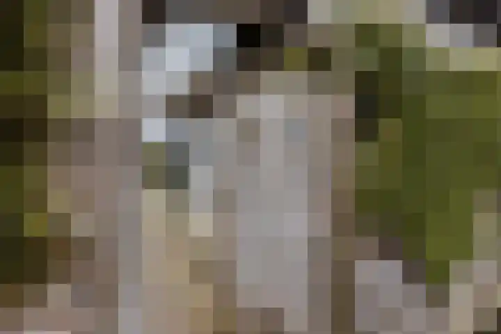 Oosteinde 11 h 67 Moordrecht thumbnail 6