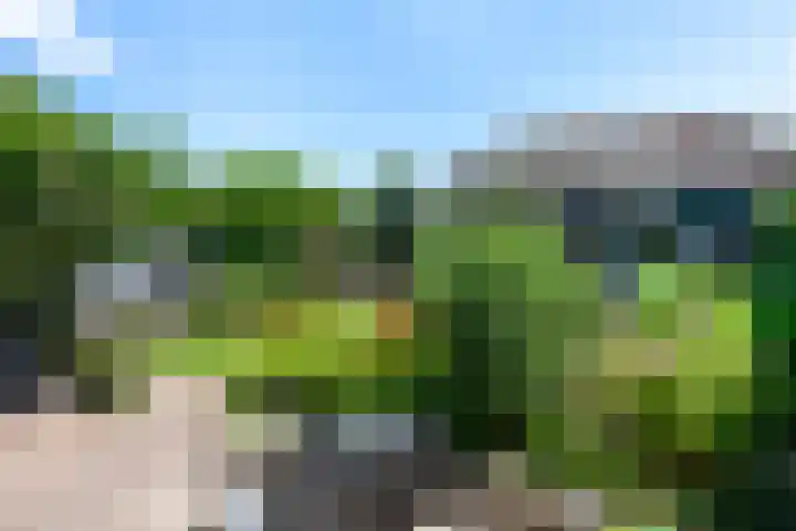 Oosteinde 11 h 87 Moordrecht thumbnail 25