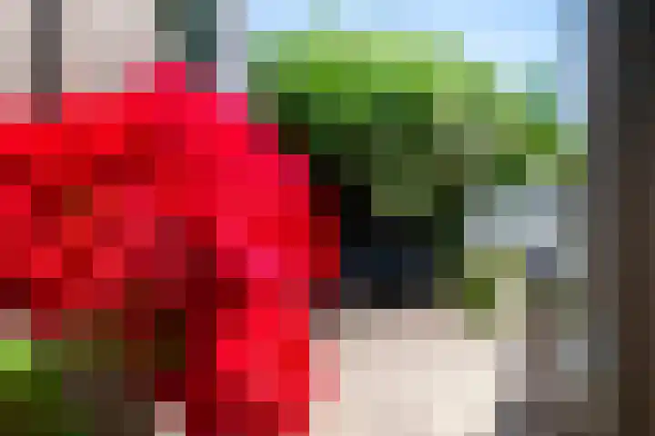 Oosteinde 11 h 87 Moordrecht thumbnail 26