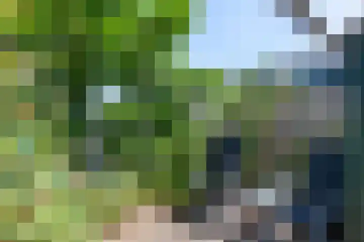 Oosteinde 11 h 87 Moordrecht thumbnail 33