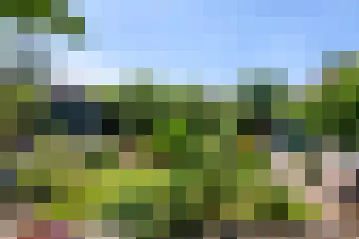 Oosteinde 11 h 87 Moordrecht thumbnail 34