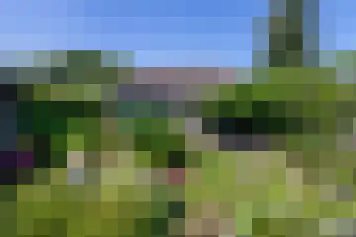 Oosteinde 11 h 87 Moordrecht thumbnail 36