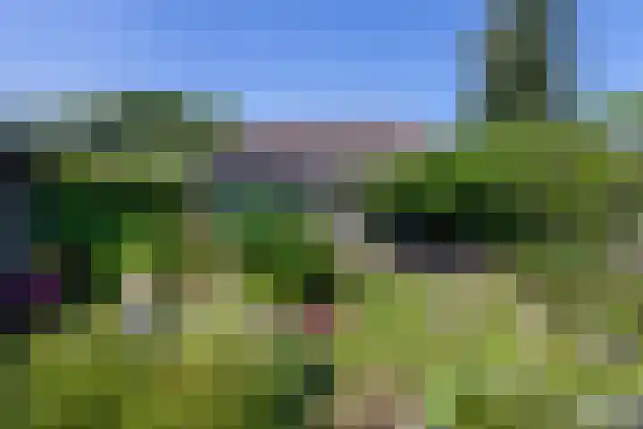 Oosteinde 11 h 87 Moordrecht thumbnail 55