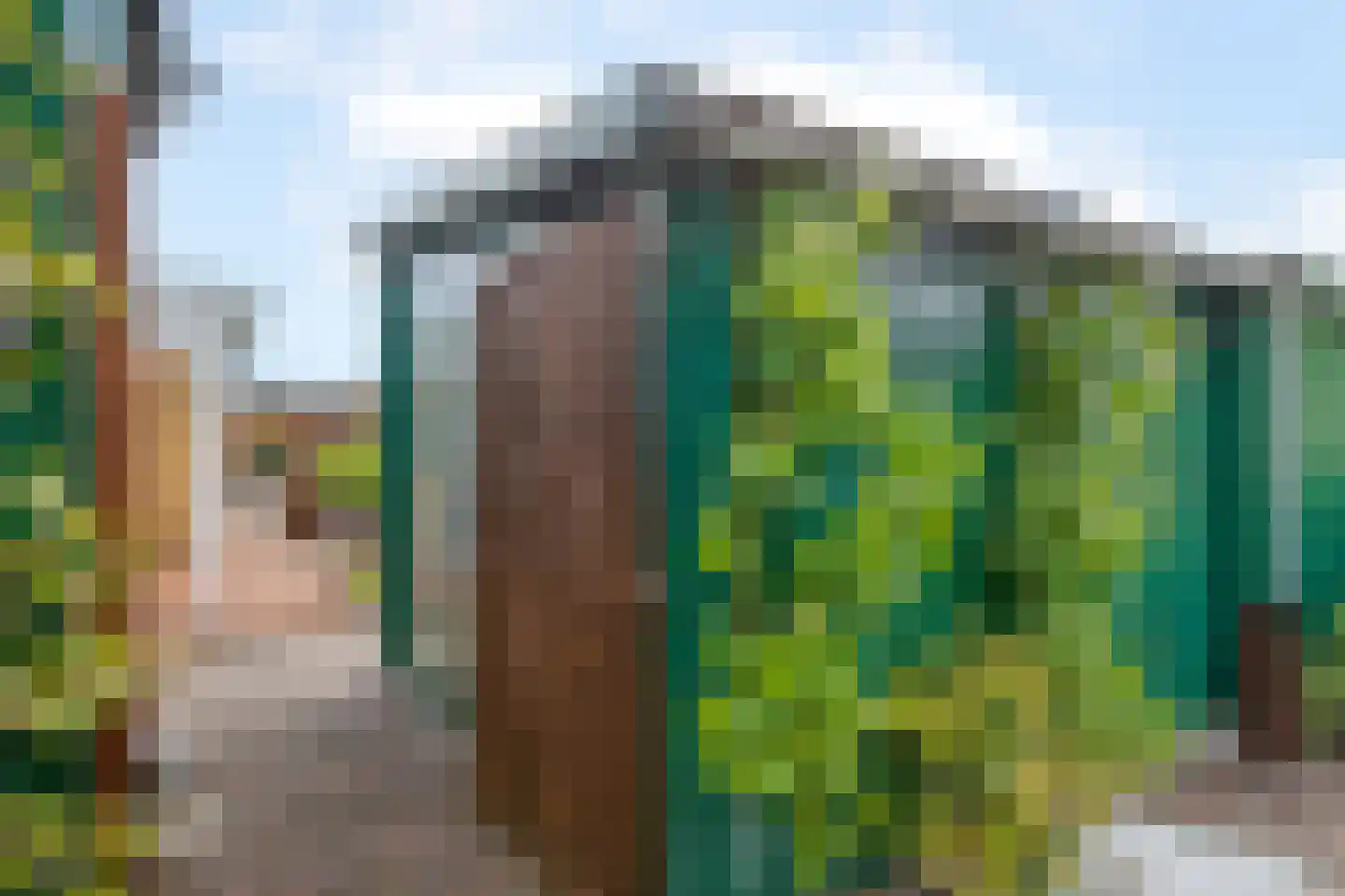 Oosteinde 11 h 90 Moordrecht thumbnail 48