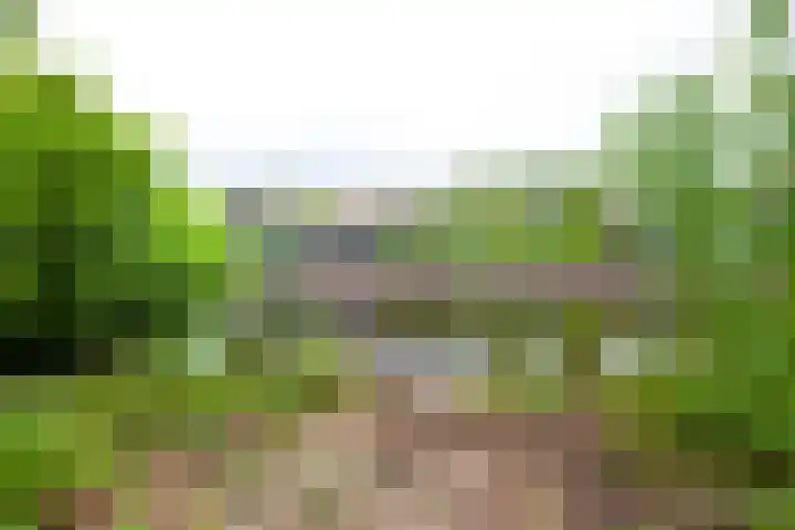 Oosteinde 11 h 91 Moordrecht thumbnail 42