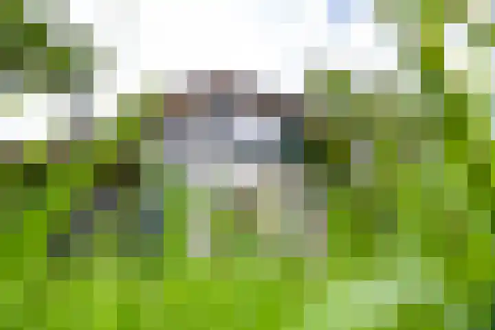 Oosteinde 11 h 91 Moordrecht thumbnail 44