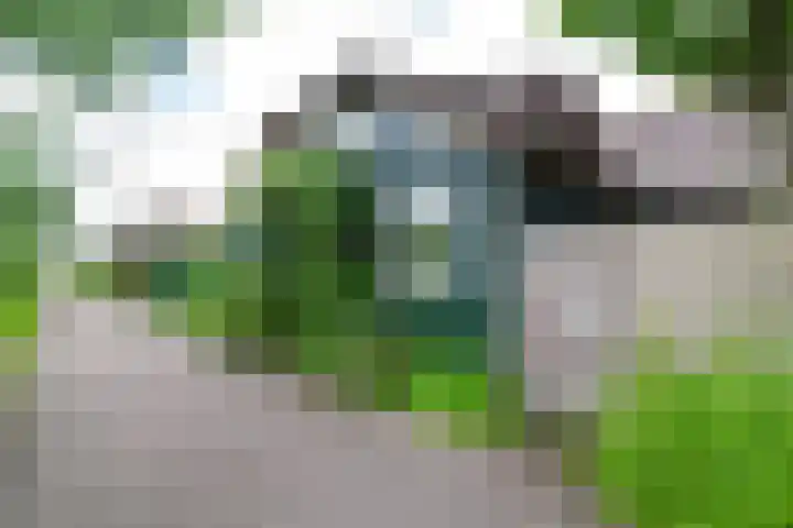 Oosteinde 11 h 91 Moordrecht thumbnail 5