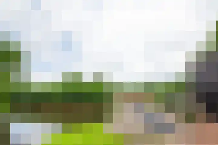Oosteinde 11 h 91 Moordrecht thumbnail 51