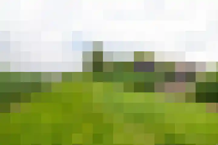 Oosteinde 11 h 91 Moordrecht thumbnail 53