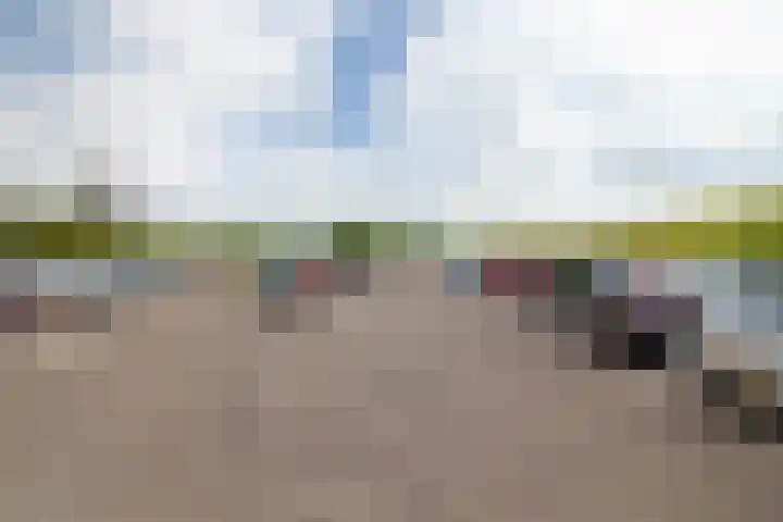 Oosteinde 11 h 91 Moordrecht thumbnail 62