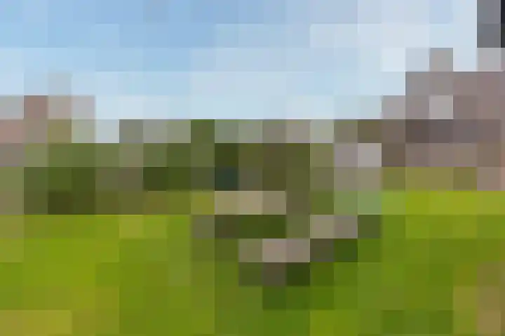 Oosteinde 115 Berkhout thumbnail 31