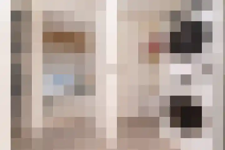 Oosteinde 115 Berkhout thumbnail 44