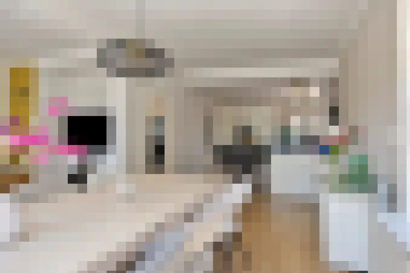 Oosteinde 117 Scherpenzeel thumbnail 10