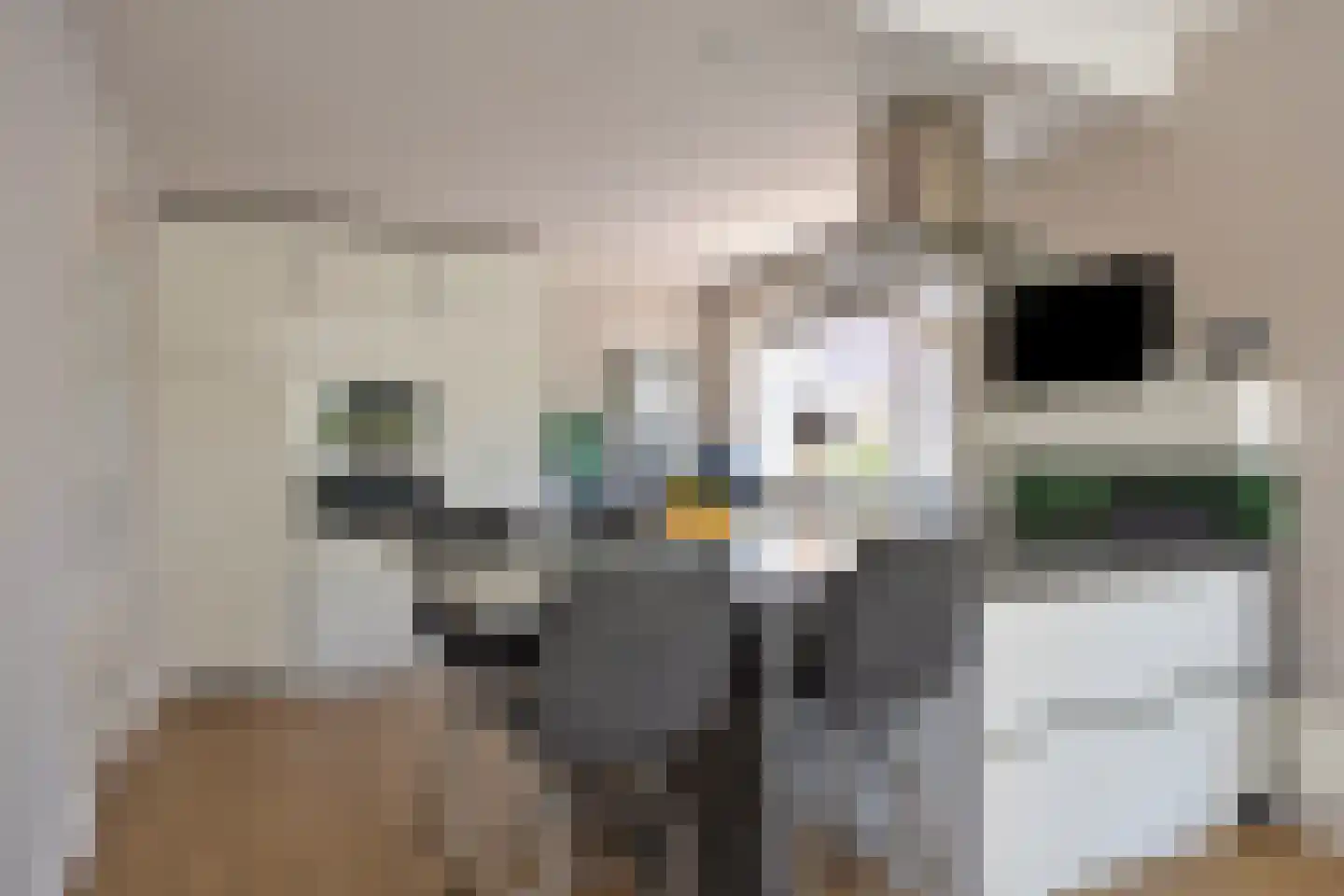 Oosteinde 117 Scherpenzeel thumbnail 11