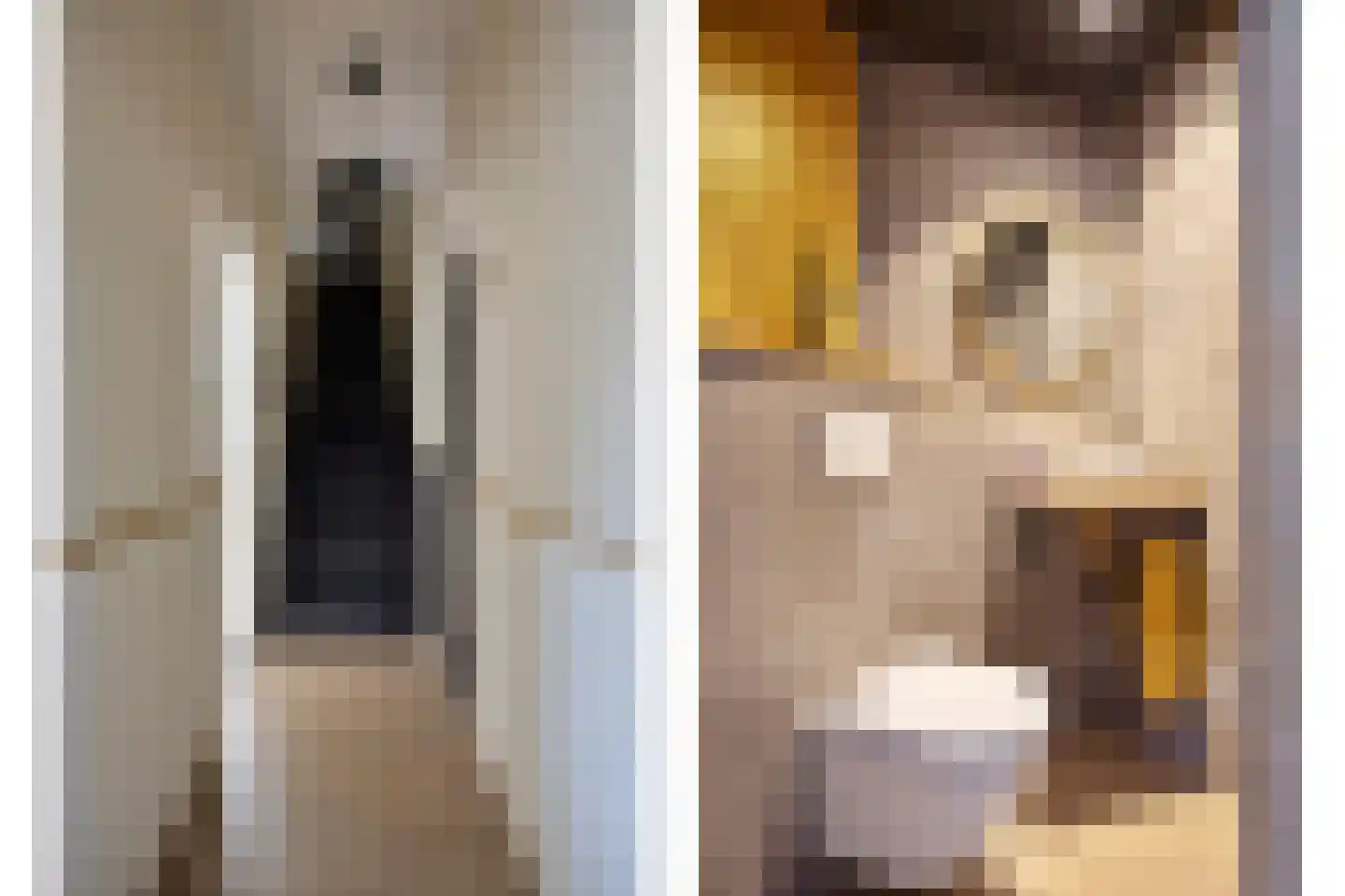 Oosteinde 117 Scherpenzeel thumbnail 21