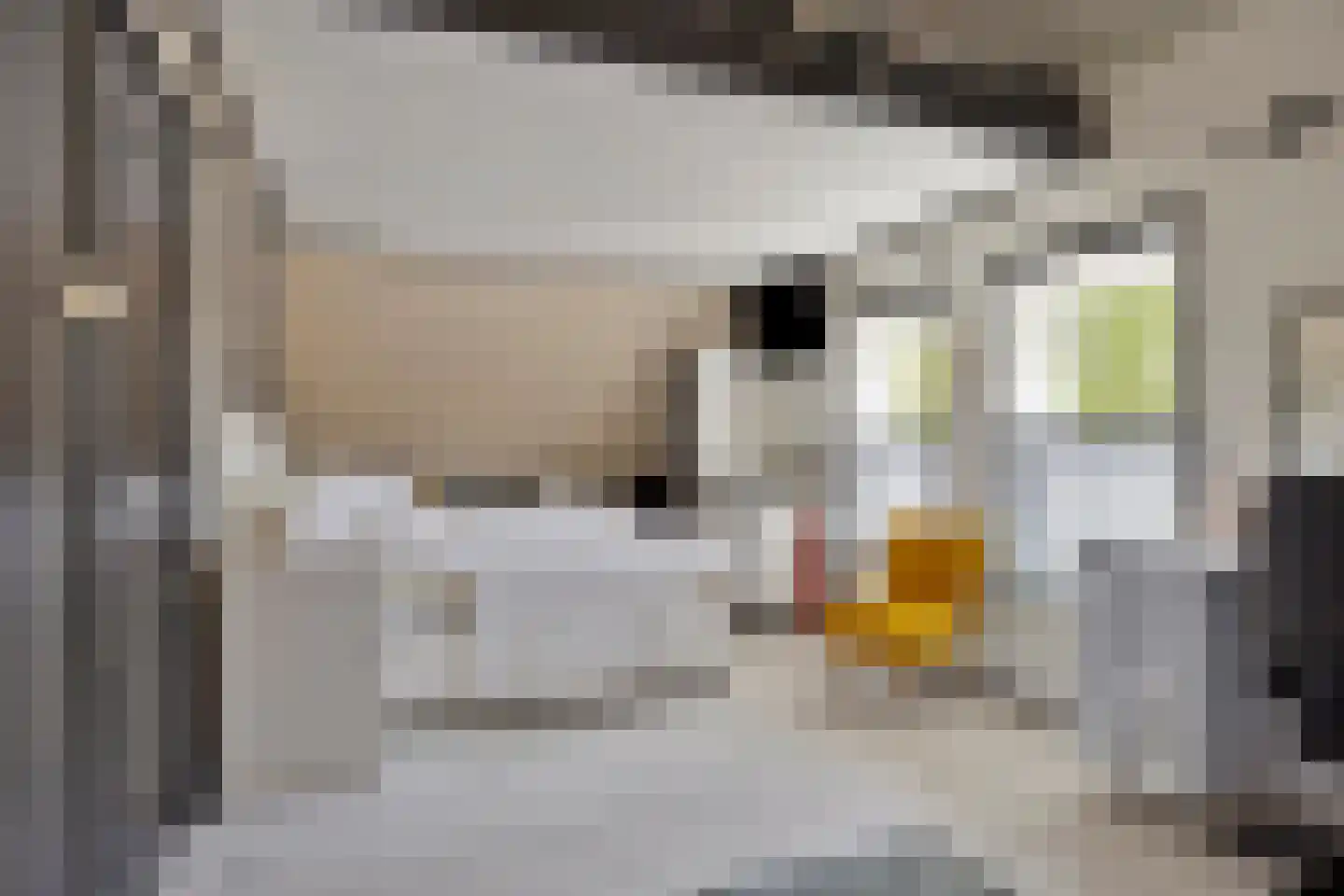 Oosteinde 117 Scherpenzeel thumbnail 25